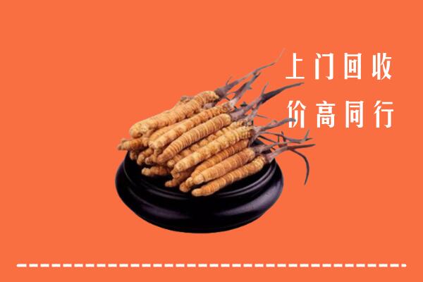 高价求购：洱源县回收散虫草